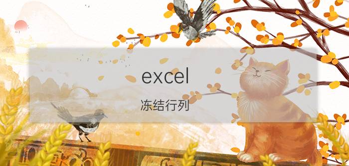 excel 冻结行列 excel表格如何冻结第二行？